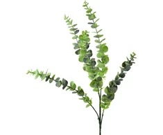 Mondex Since 1986 VIRIDIS Dirbtinė gėlė Eukaliptas 80cm