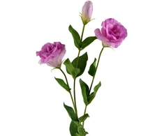 Mondex Since 1986 VIRIDIS Dirbtinė gėlė Eustoma 70cm gumuota