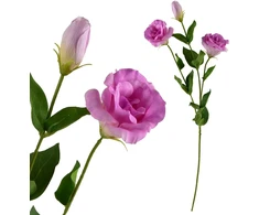 Mondex Since 1986 VIRIDIS Dirbtinė gėlė Eustoma 70cm gumuota