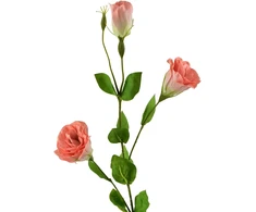 Mondex Since 1986 VIRIDIS Dirbtinė gėlė Eustoma 70cm gumuota