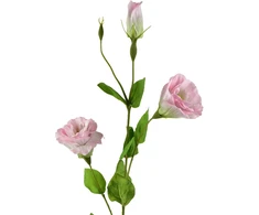Mondex Since 1986 VIRIDIS Dirbtinė gėlė Eustoma 70cm gumuota