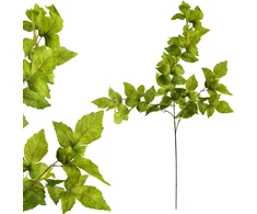 Mondex Since 1986 VIRIDIS lapo šakelė 100 cm