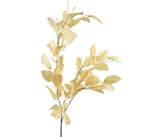 Mondex Since 1986 VIRIDIS lapo šaka 103 cm