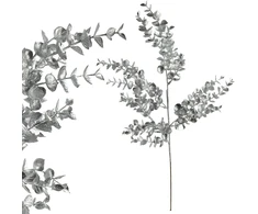 Mondex Since 1986 VIRIDIS Gałązka ozdobna 60cm sidabrinė