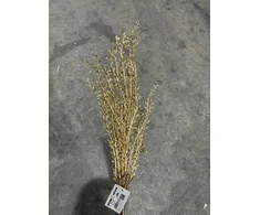 Mondex Since 1986 VIRIDIS Gałązka ozdobna 77cm auksinė