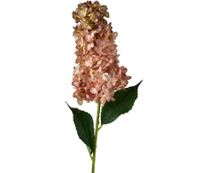 Mondex Since 1986 VIRIDIS gėlė ilga hortenzija 80cm