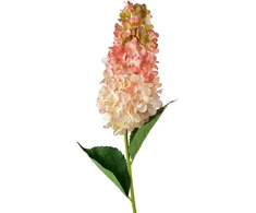 Mondex Since 1986 VIRIDIS gėlė ilga hortenzija 80cm