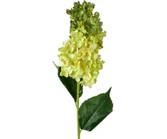Mondex Since 1986 VIRIDIS gėlė ilga hortenzija 80cm