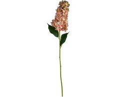 Mondex Since 1986 VIRIDIS gėlė ilga hortenzija 80cm