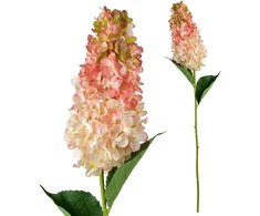 Mondex Since 1986 VIRIDIS gėlė ilga hortenzija 80cm