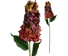 Mondex Since 1986 VIRIDIS gėlė ilga hortenzija 80cm