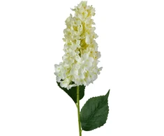 Mondex Since 1986 VIRIDIS gėlė ilga hortenzija 80cm