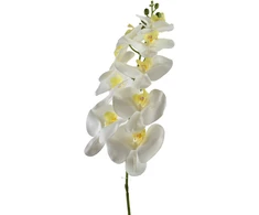 Mondex Since 1986 VIRIDIS Gėlių orchidėjos šakelė 90 cm balta
