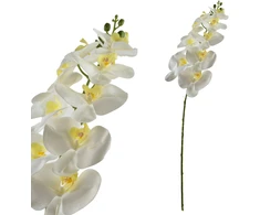 Mondex Since 1986 VIRIDIS Gėlių orchidėjos šakelė 90 cm balta