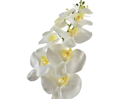 Mondex Since 1986 VIRIDIS Gėlių orchidėjos šakelė 90 cm balta