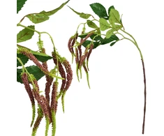 Mondex Since 1986 VIRIDIS Kwiat Szkarłat zwisający bordo 90cm