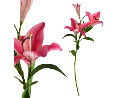 Mondex Since 1986 VIRIDIS Kwiat sztuczny LILIA 90cm rožinė