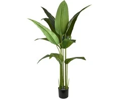 Mondex Since 1986 VIRIDIS Kwiat sztuczny Bananowiec 140cmw doniczce