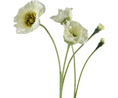 Mondex Since 1986 VIRIDIS Kwiat sztuczny MAK POLNY gałązka 67cm