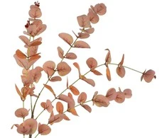 Mondex Since 1986 VIRIDIS Dirbtinė gėlė, eukaliptas, 92 cm, AW25