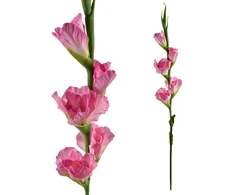 Mondex Since 1986 VIRIDIS Kwiat sztuczny Mieczyk 85cm rožinė gumowany