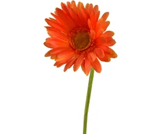 Mondex Since 1986 VIRIDIS kwiat sztuczny Gerbera 67cm