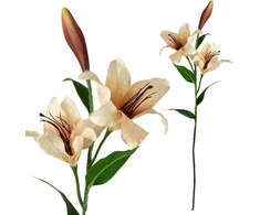 Mondex Since 1986 VIRIDIS Kwiat sztuczny LILIA 85cm