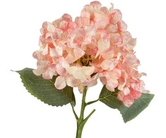 Mondex Since 1986 VIRIDIS dirbtinė gėlė hortenzija 52 cm AW25