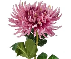 Mondex Since 1986 VIRIDIS Dirbtinė gėlė Chrizantemos šakelė 70 cm AW25