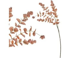 Mondex Since 1986 VIRIDIS Dirbtinė gėlė, eukaliptas, 92 cm, AW25