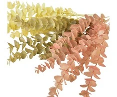 ProGarden Mondex Since 1986 VIRIDIS Dirbtinė gėlė Eukalipto šakelė 80 cm AW25