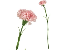 Mondex Since 1986 VIRIDIS Kwiat sztuczny Goździk 50cm rožinė gumowany