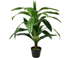 Mondex Since 1986 VIRIDIS Kwiat sztuczny 90cm w doniczce Dracena