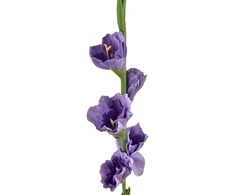 Mondex Since 1986 VIRIDIS Kwiat sztuczny Mieczyk 85cm gumowany
