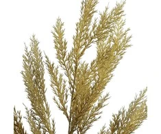 Mondex Since 1986 VIRIDIS dirbtinės gėlės dekoratyvinė šakelė 80 cm AW25