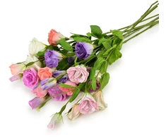 Mondex Since 1986 VIRIDIS Kwiat sztuczny Eustoma 70cm gumowany