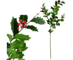 Mondex Since 1986 VIRIDIS Kwiat sztuczny Ostrokrzew 90cm gałązka