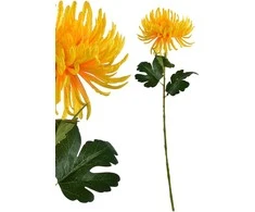 Mondex Since 1986 VIRIDIS Dirbtinė gėlė Chrizantemos šakelė 70 cm AW25