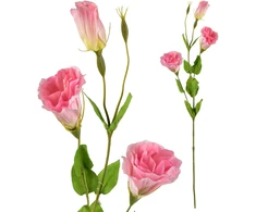 Mondex Since 1986 VIRIDIS Kwiat sztuczny Eustoma 70cm gumowany