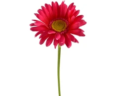Mondex Since 1986 VIRIDIS kwiat sztuczny Gerbera 67cm