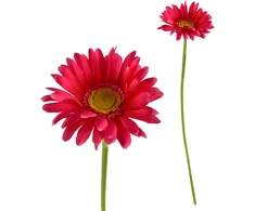 Mondex Since 1986 VIRIDIS kwiat sztuczny Gerbera 67cm