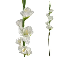 Mondex Since 1986 VIRIDIS Kwiat sztuczny Mieczyk 85cm balta gumowany
