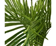 Mondex Since 1986 VIRIDIS Kwiat sztuczny Palma 150cm w doniczce