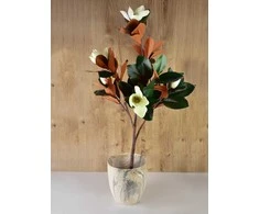 Mondex Since 1986 VIRIDIS Dirbtinė magnolija vazone 15x14x120cm