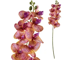 Mondex Since 1986 VIRIDIS žiedinė orchidėjos šakelė 90 cm