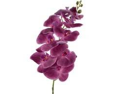 Mondex Since 1986 VIRIDIS žiedinė orchidėjos šakelė 90 cm