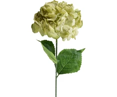 Przydasie Mondex Since 1986R VIRIDIS Dirbtinė gėlė HYDRENSION 73cm