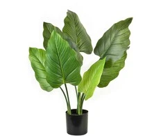 Lumarko Mondex Since 1986R VIRIDIS Dirbtinė alokazijos gėlė H65cm vazonėlyje