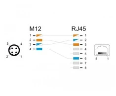 „DeLOCK“ M12 adapteris, D kodavimo, 4 kontaktų kištukas į RJ45 jungtį, tiesus, M12, RJ-45, juodas