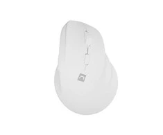 NATEC Crake 2 pelė Universal dešinei rankai RF belaidė + Bluetooth Optinė 2400 DPI